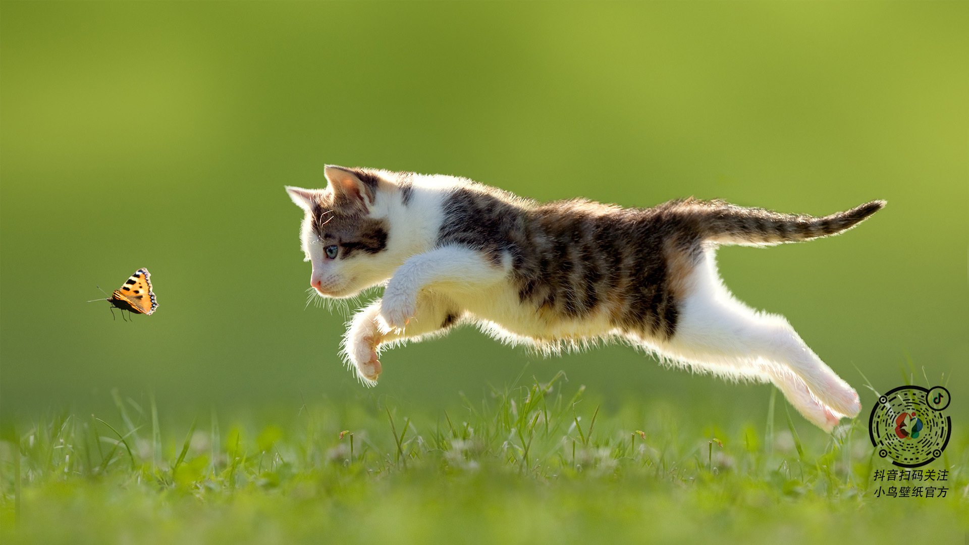 中场铁壁,禁区惊雷,步行者足球式绞杀击溃广厦