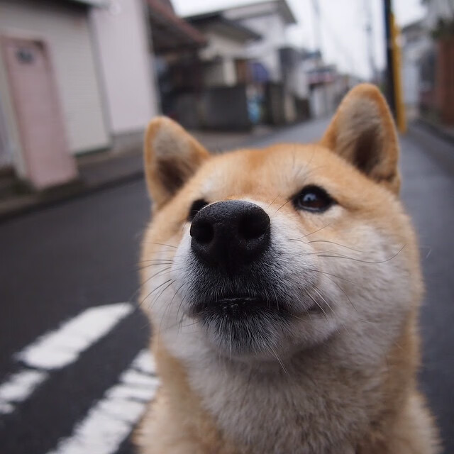 鏖战四十八分钟,马克西终成关键先生