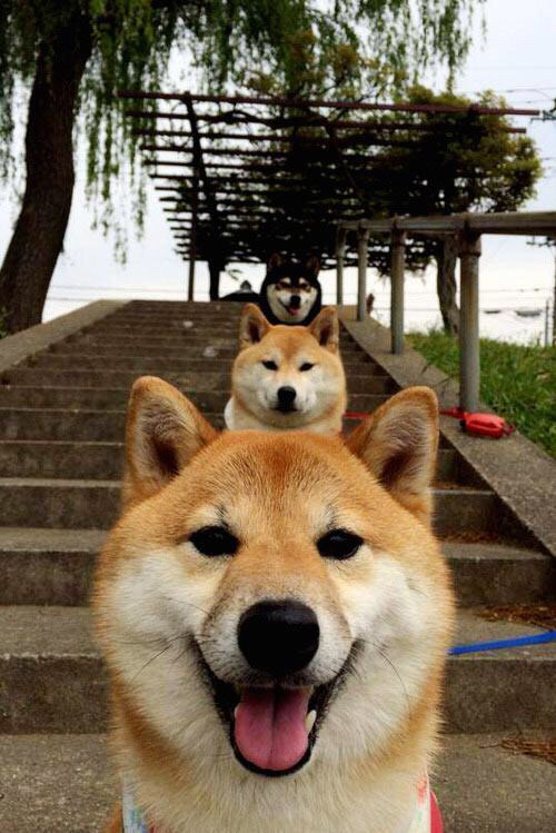 导演席上的关键先生，当拉文用信任导演逆转