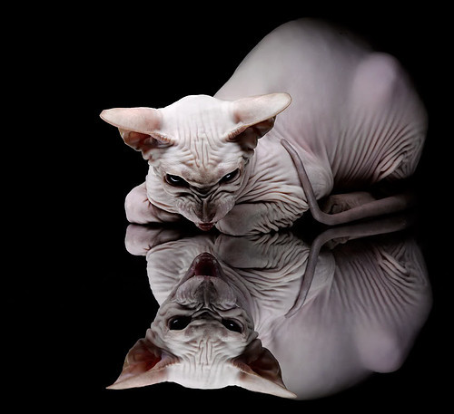 改写历史，阿根廷在抢七风暴中首次征服中国赛场