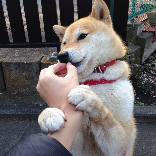 冰封王座上的火，东契奇点燃年度焦点之战