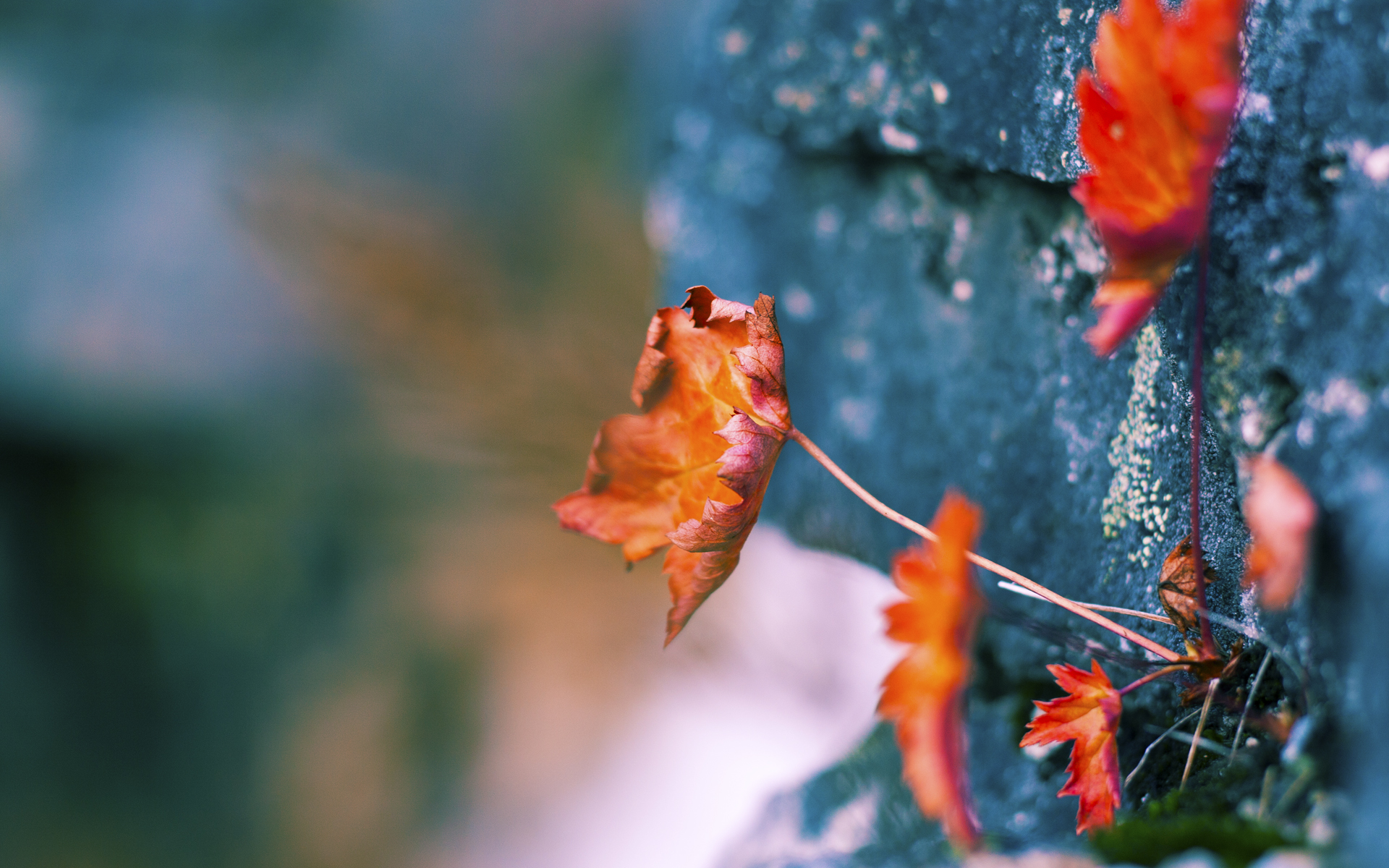 异变！瑞士决胜局带走马赛，哈兰德于美加墨化身机械降神