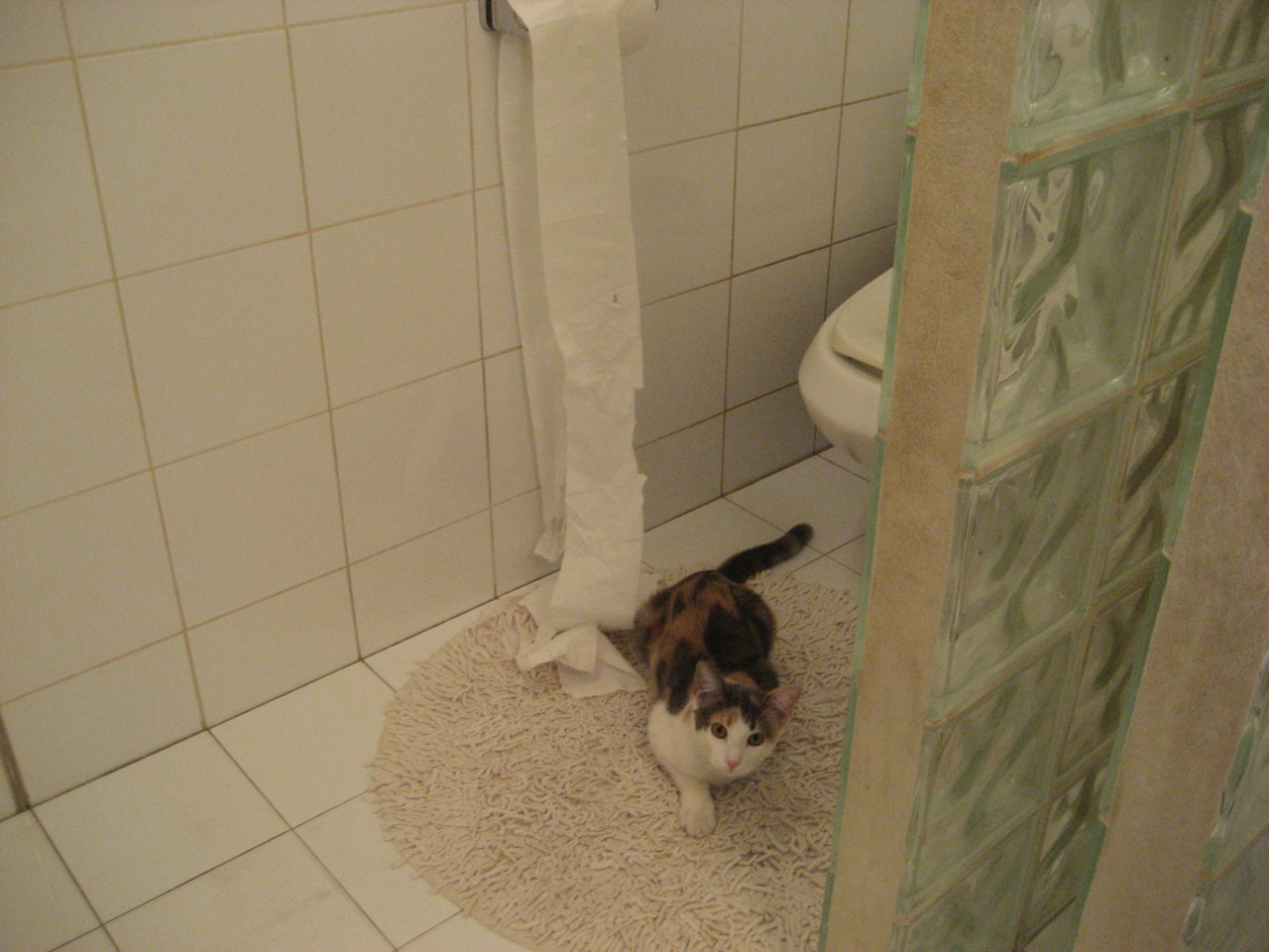 新生代碾压旧秩序，切特持续杀伤揭开火箭升空密码，雄鹿城墙轰然倒塌