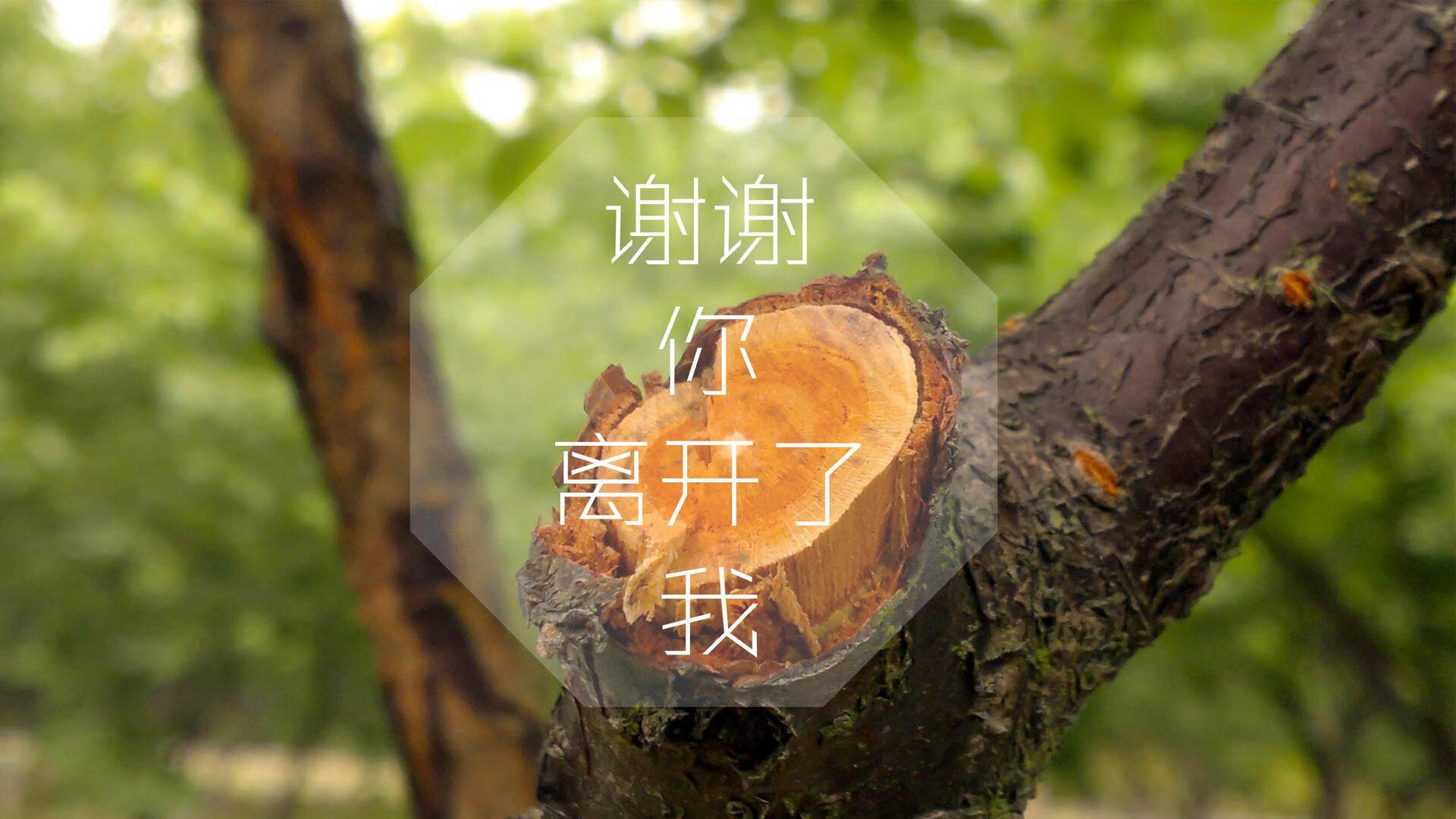 底格里斯河的奇迹,2026世界杯E组,伊拉克双核驱动,替补奇兵绝杀瑞士